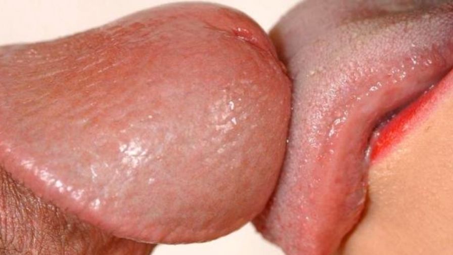 Blowjob and Oral Sex Porn Wallpaper