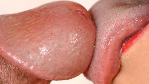 Blowjob and Oral Sex Porn Wallpaper