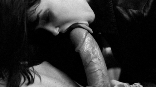 Blowjob & Oral Sex Porn Wallpaper