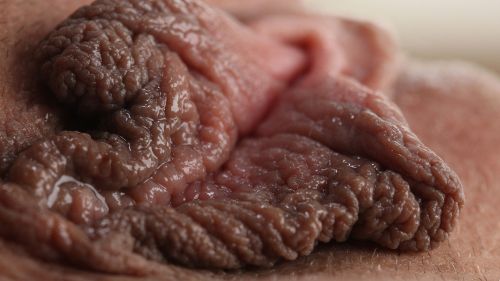 Wet Pussy Porn Wallpaper